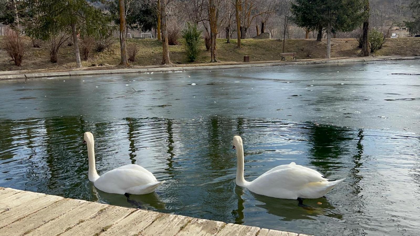 Apartament Del Llac Osséja Exteriér fotografie
